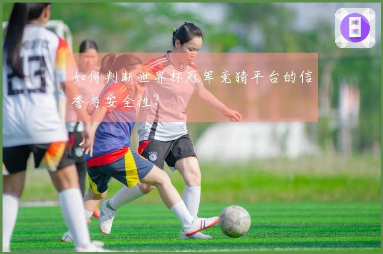 如何判断世界杯冠军竞猜平台的信誉与安全性？