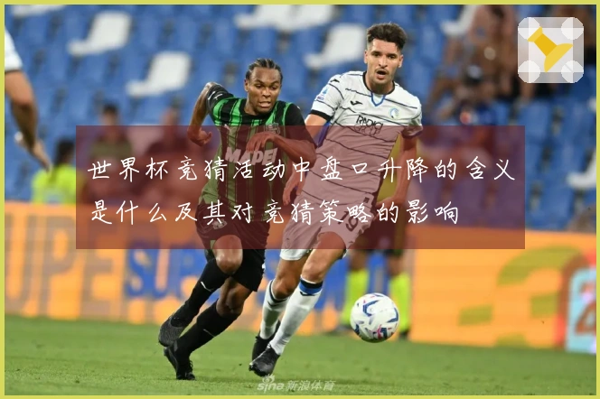 世界杯竞猜活动中盘口升降的含义是什么及其对竞猜策略的影响