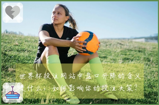 世界杯投注网站中盘口升降的含义是什么，如何影响你的投注决策？