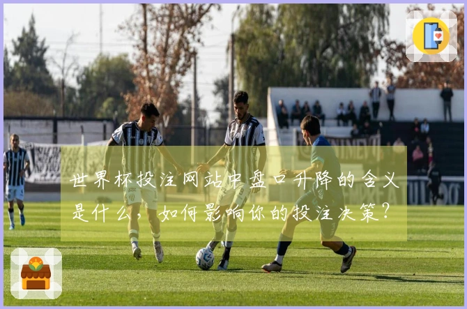 世界杯投注网站中盘口升降的含义是什么,如何影响你的投注决策?