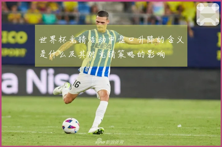 世界杯竞猜活动中盘口升降的含义是什么及其对竞猜策略的影响